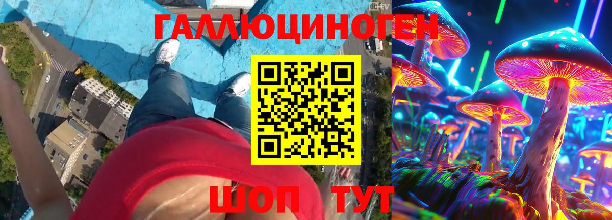 Псилоцибиновые грибы Cubensis Новоалтайск