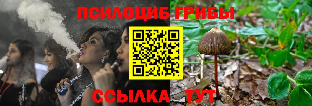 Новоалтайск  Галлюциногенные грибы ЛСД  Галлюциногенные грибы ЛСД  Вход с VPN 